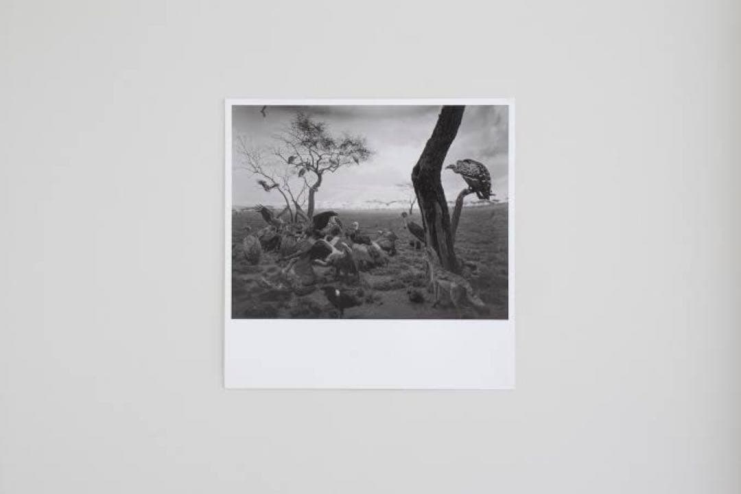 杉本博司　ポスター