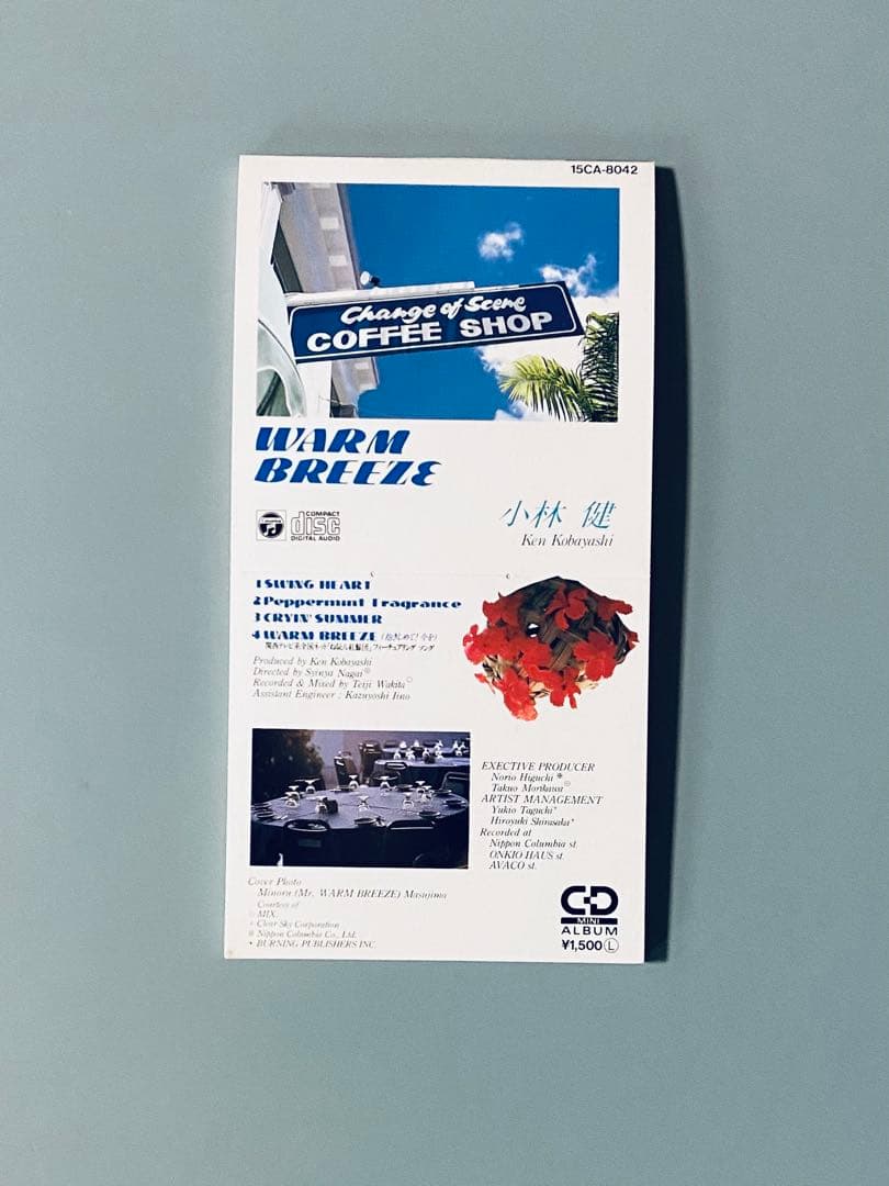 激レア　小林健 WARM BREEZE 8cm 希少88年