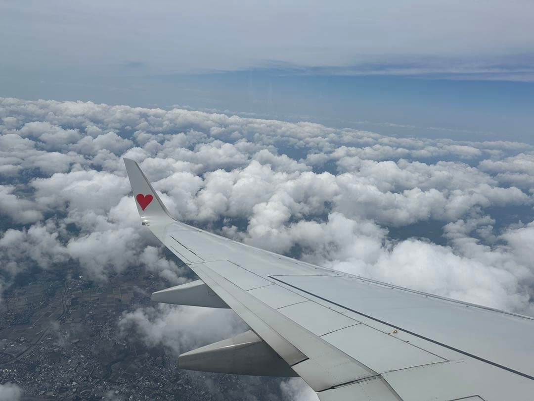 chiBomam☆プロフ必読様IEショートネイビー