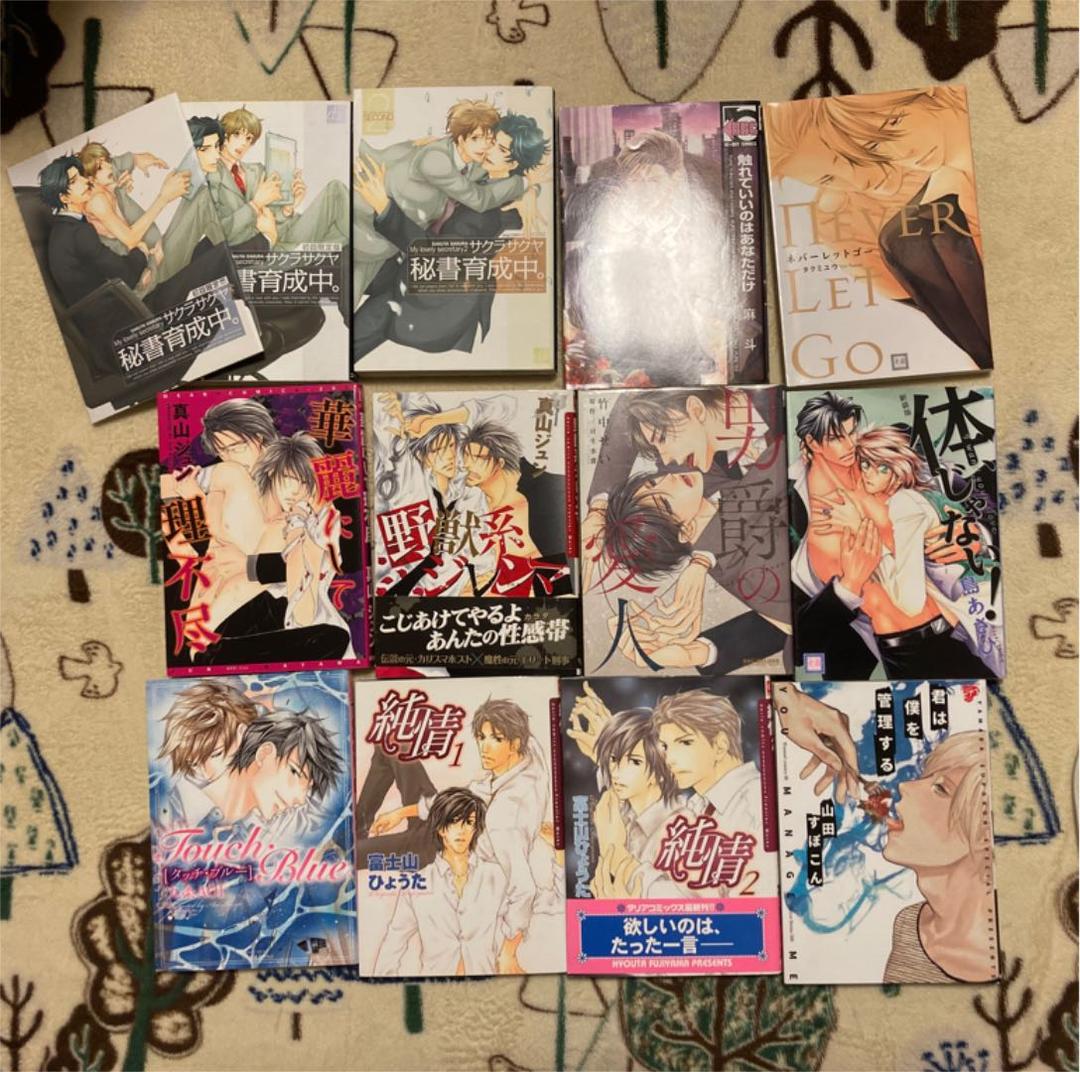 BL漫画 24冊 まとめ売り サクラサクヤ タクミユウ 竹中せい