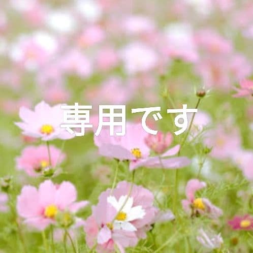 Hirokoさま専用【希少　高級感漂うクロコ型押し】折財布　黒　バイソン刻印