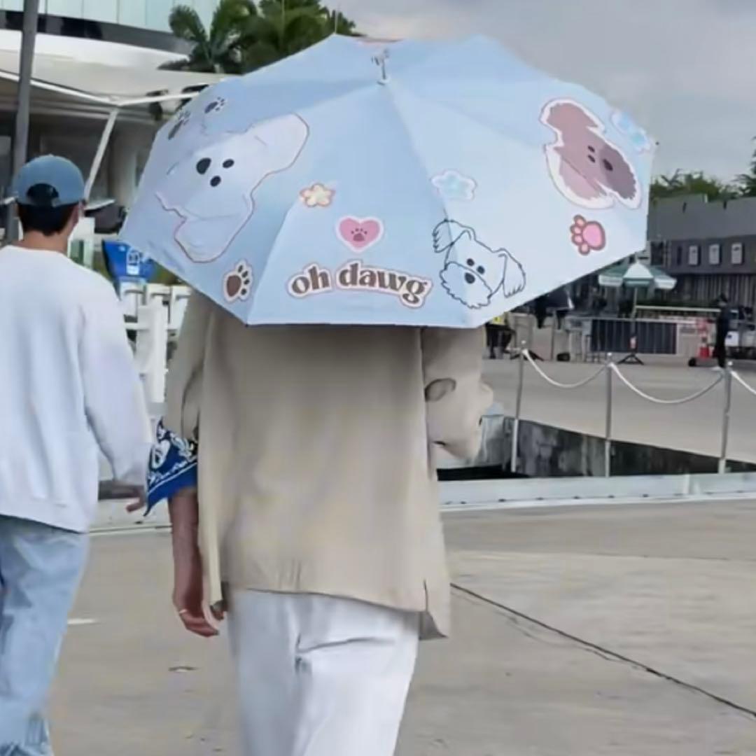 OH DAWG / OH MY PAWBRELLA sea_tawinan 傘