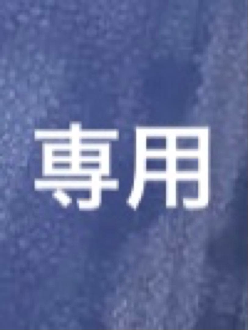 専用 1/1