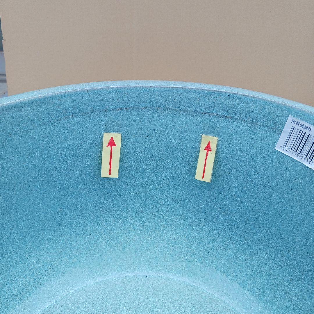 新品　特大52x48　陶器　睡蓮鉢　難有　メダカ鉢　水色　ブルー　ルーバーLWC