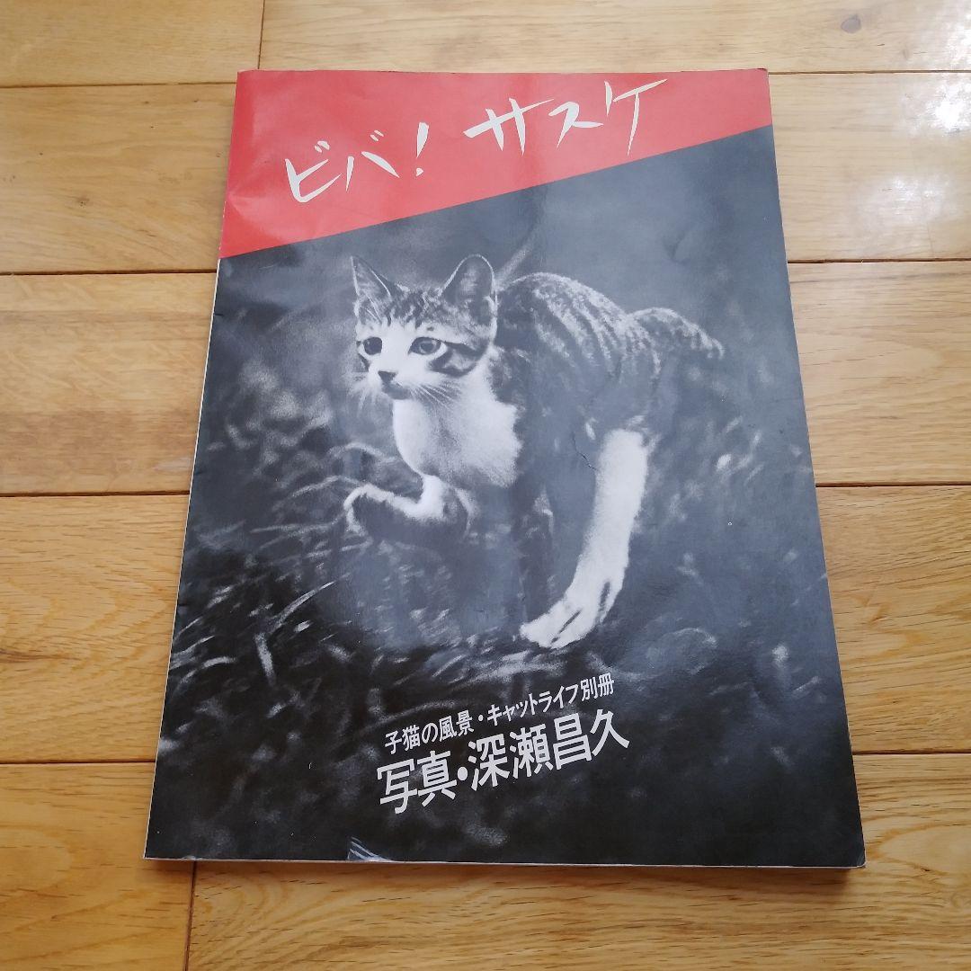 ビバ！サスケ 猫の写真集 深瀬昌久