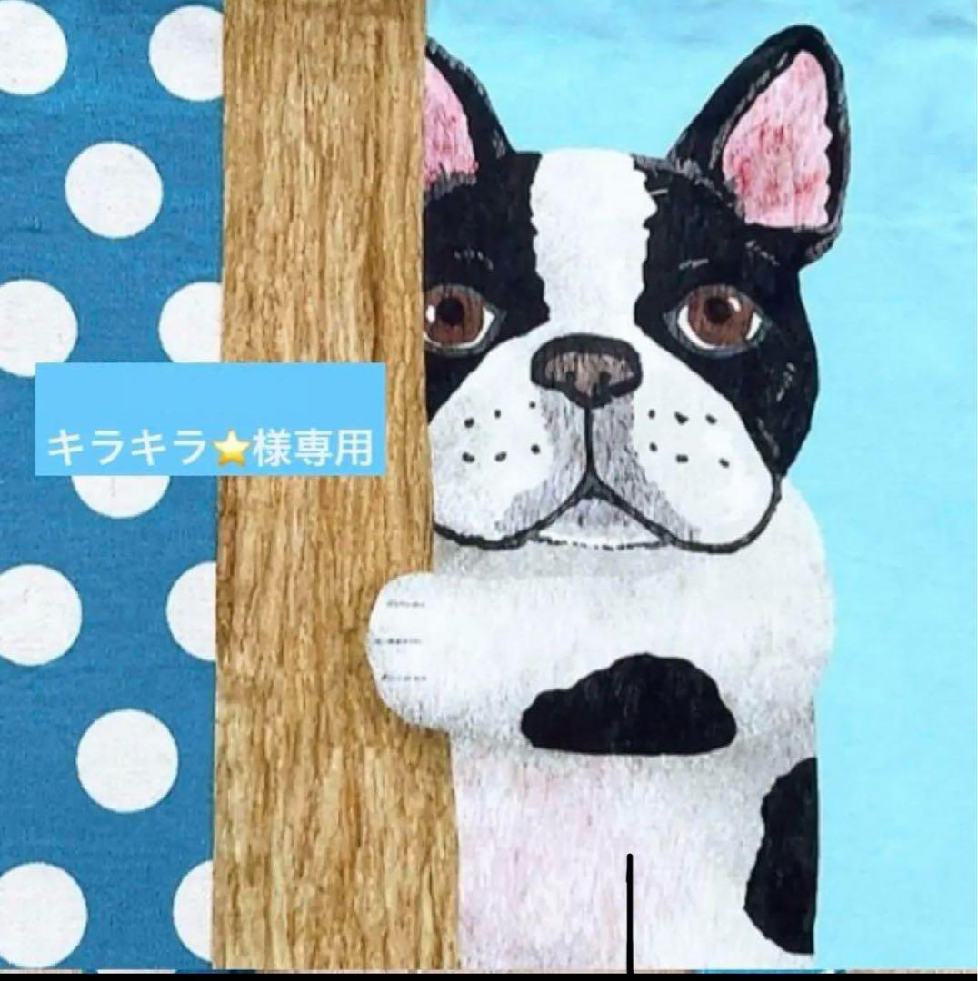 キラキラ⭐️　エプロン　& ランチバッグ