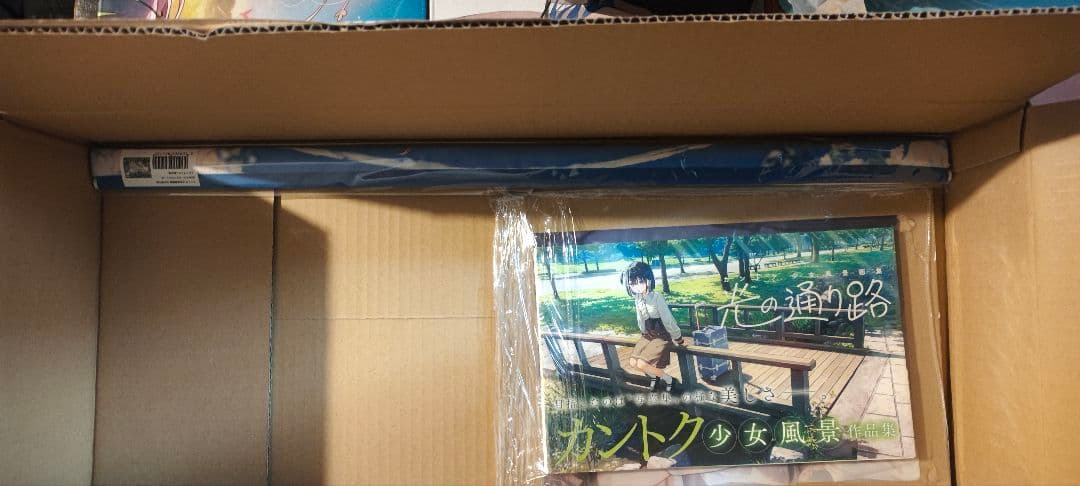 光の通り路 カントク少女風景画集 紙書籍