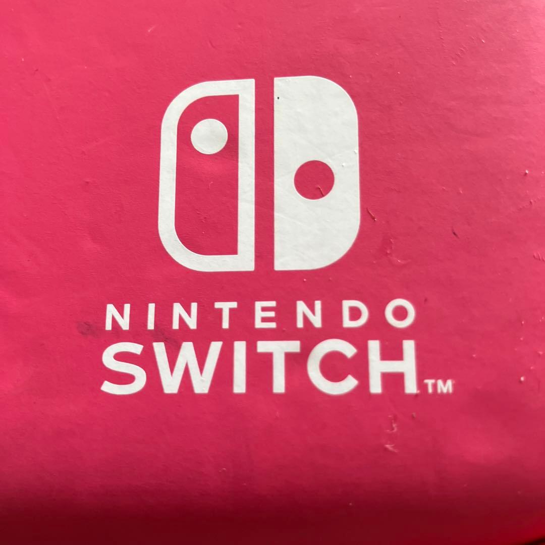 Nintendo Switch Lite + ケース + あつまれどうぶつの森