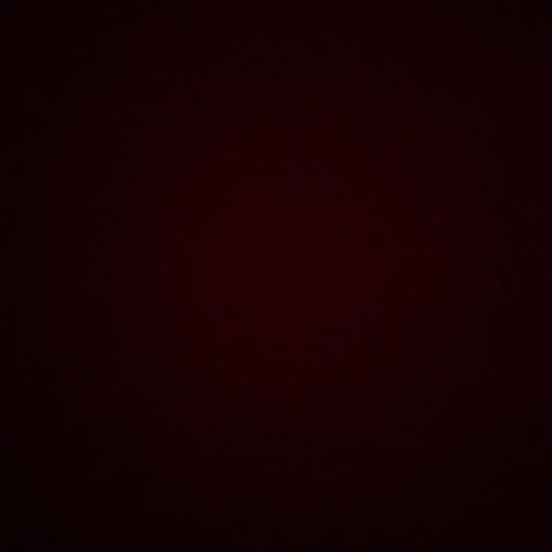 kamaboko 小布施ワイナリー オルディネール メルロー